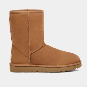 Ugg Classic Short Chestnut